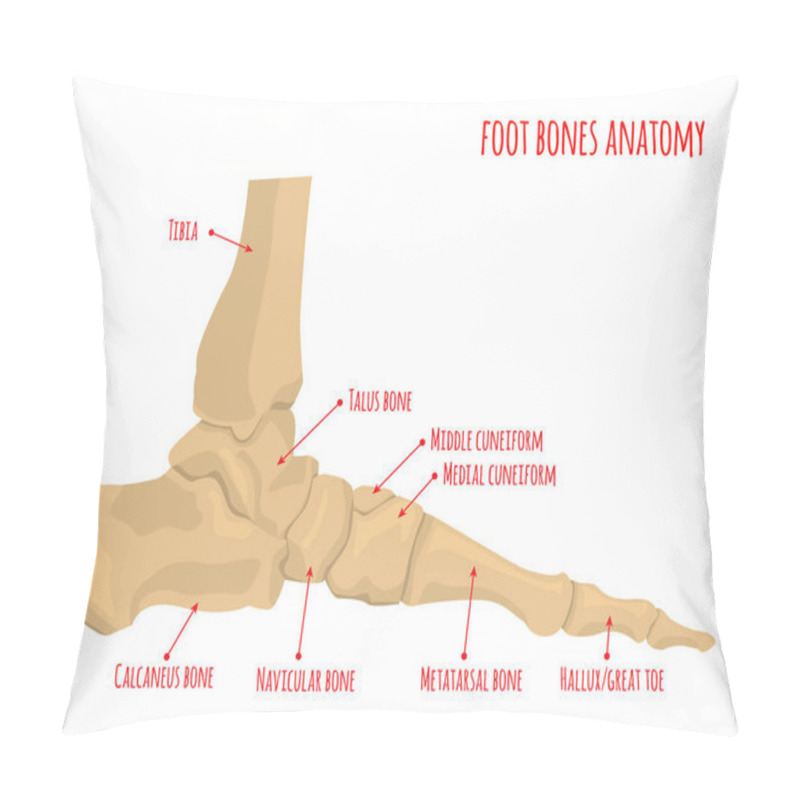 Personality  Foot Bones Anatomy Pillow Covers