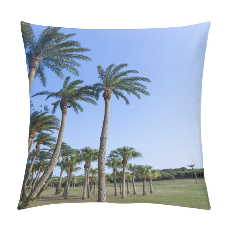 Personality  Green Grassland , Eluanbi Park, Kenting, Pin-Don,Taiwan Pillow Covers