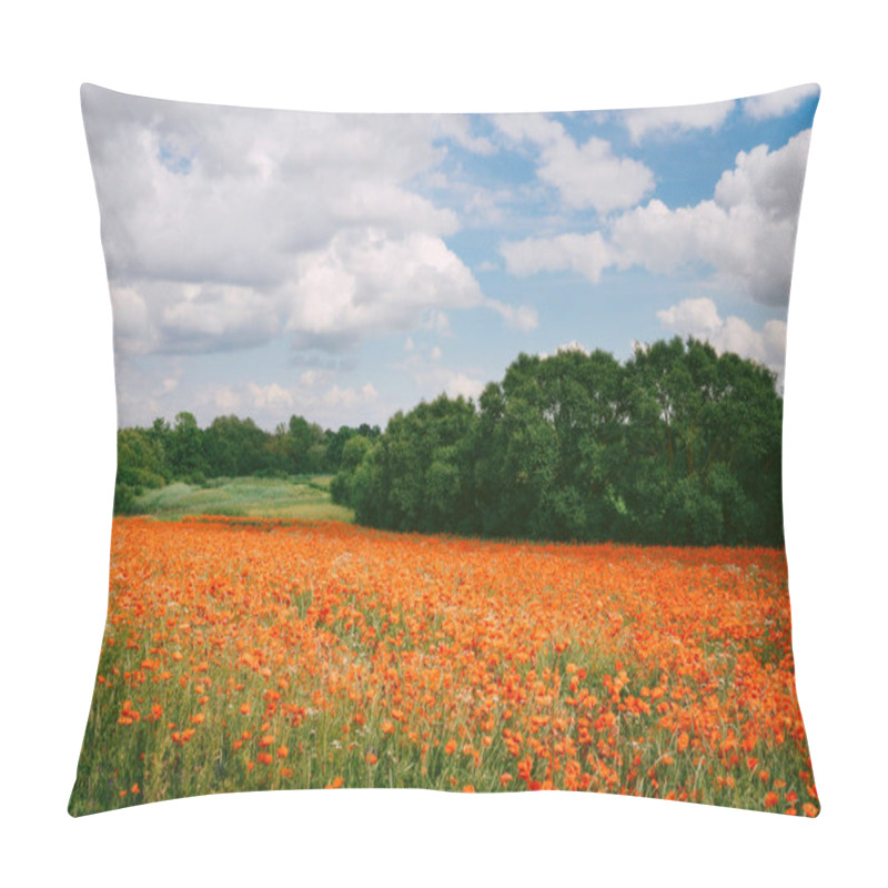 Personality  Poppy Field During Sunny Summer Day  Pillow Covers