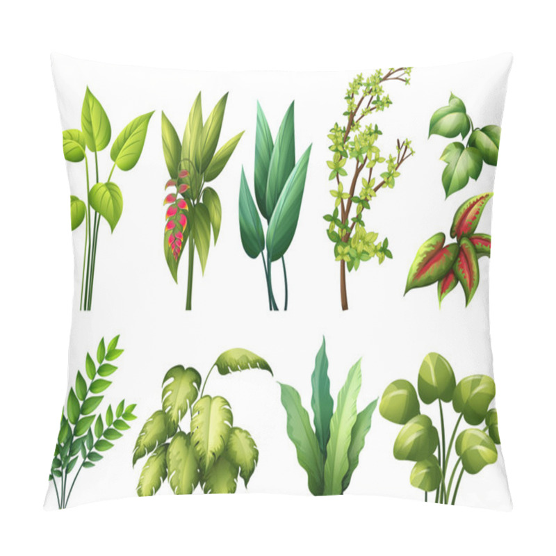 Personality  Plants Pillow Covers