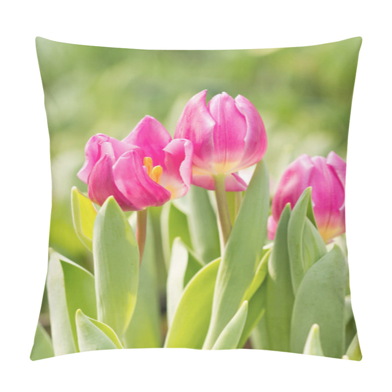 Personality  Pink Tulips In The Garden With Dof Pillow Covers