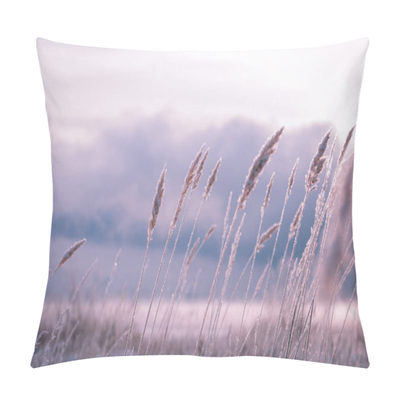 Personality  Frosty Morning In The Winter Forest. Spikelets And Blades Of Grass In Hoarfrost On The Background Of A Snowy Field And Forest. Pillow Covers