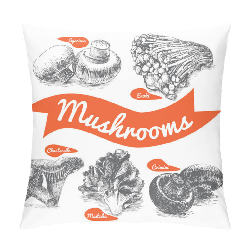 Personality  Vector Illustrated Set #2 Of Mushrooms. Illustrative Sorts Of Mushrooms Pillow Covers