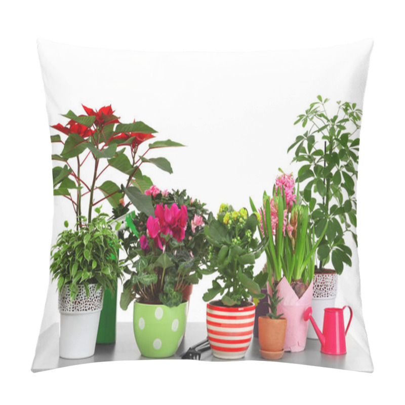 Personality  Composition With Beautiful House Plants Pillow Covers