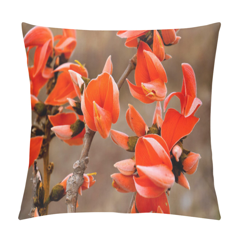 Personality  Butea Monosperma Or Palash Flower Pillow Covers