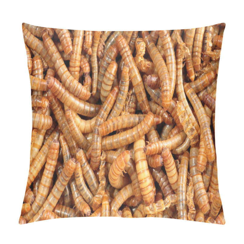 Personality  Closeup Of A Scatter Of Living Mealworm Pillow Covers