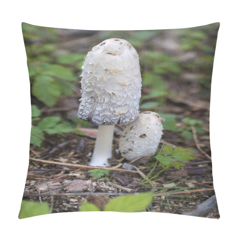 Personality  Botany, Mushroom Pillow Covers