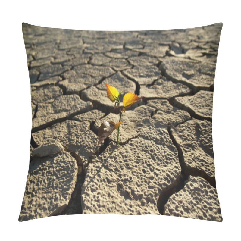 Personality  Cracked Lifeless Soil Pillow Covers