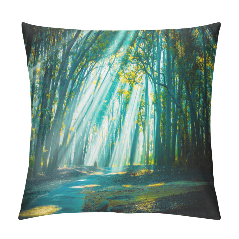 Personality  Road To Home. Sunrays With Mist Appearing Pillow Covers