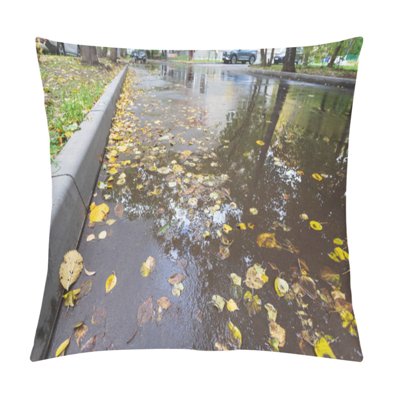 Personality  Yellow And Red Leaves Lie On The Road. Maple Leaves On The Asphalt. Autumn Leaf Fall. Maple Leaves Flew From The Trees. Fallen Leaves In The Rain. Pillow Covers