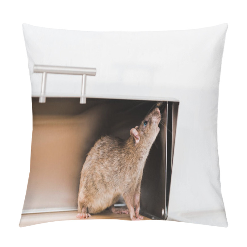 Personality  Little Rat In Bread Box In Kitchen  Pillow Covers