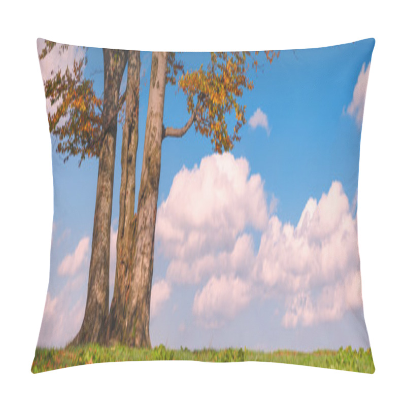 Personality  Lonely Oak Pillow Covers