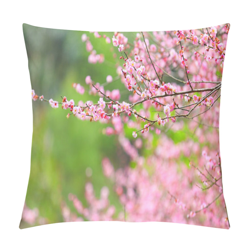 Personality  Flowers Of Cherry Blossoms On Spring Day Pillow Covers