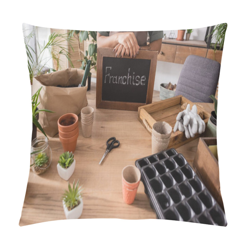 Personality  Cropped View Of African American Florist Holding Board With Franchise Lettering Near Potted Plants And Gardening Tools In Flower Shop Pillow Covers