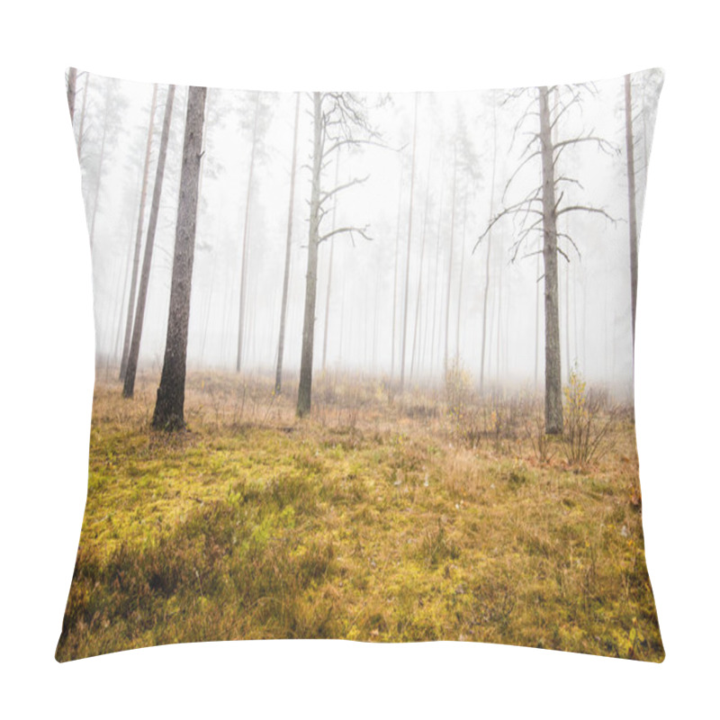 Personality  An Autumn Forest Landscape. Morning Fog In The Pine Tree Forest On A Cloudy Day, Green And Golden Leaves, Latvia Pillow Covers