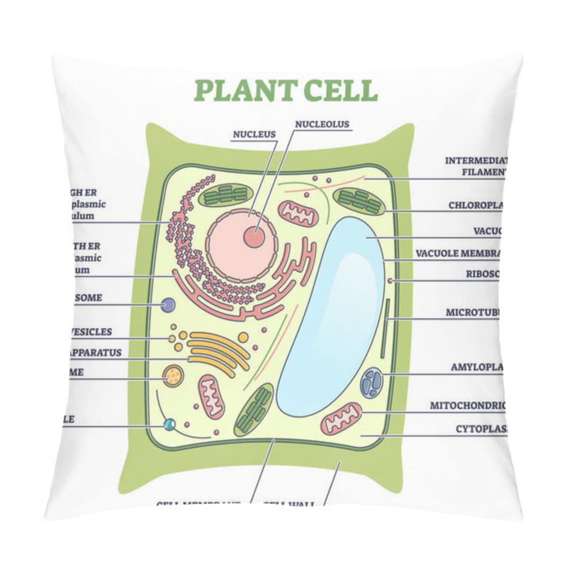 Personality  Plant Cell Structure With Inner Parts Labeled Description Outline Diagram Pillow Covers