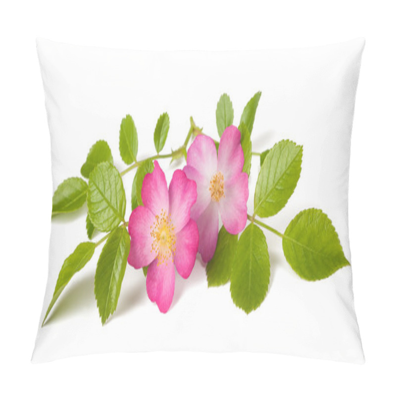 Personality  Dog Rose (Rosa Canina) Pillow Covers