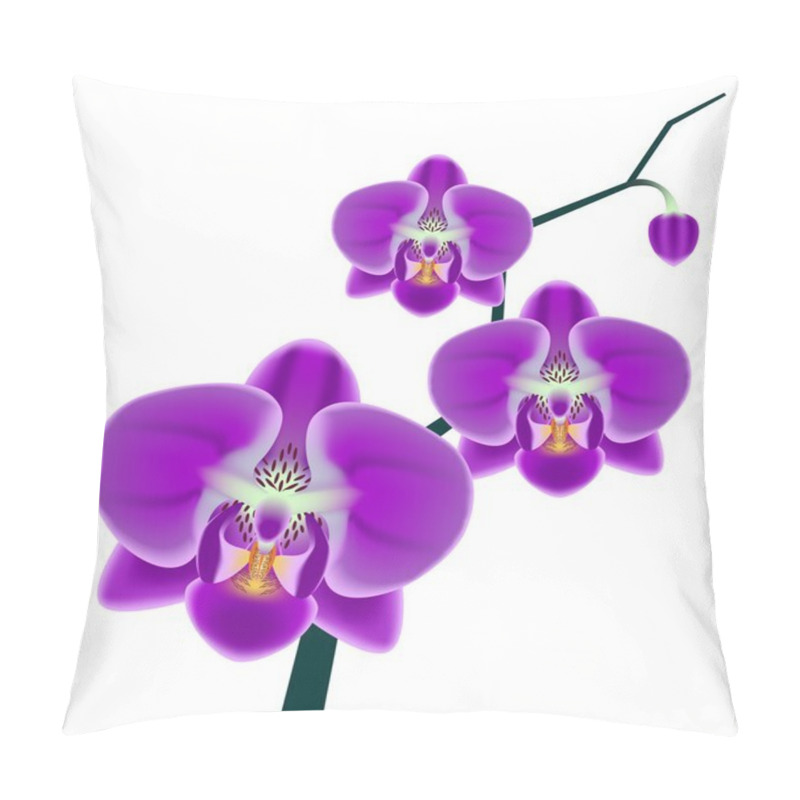 Personality  Orchid Branch, Isolated On White Background Pillow Covers