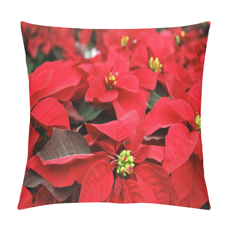 Personality  Poinsettia Pillow Covers