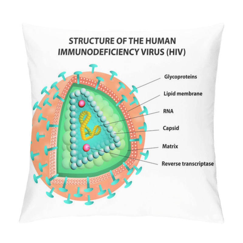 Personality  Diagram Of The HIV Virus. Vector Pillow Covers