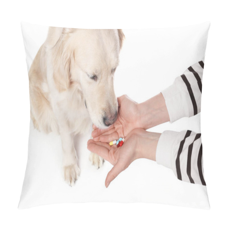 Personality  Woman Giving Different Pills To Cute Dog On White Background, Closeup. Vitamins For Animal Pillow Covers