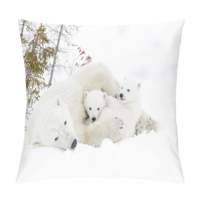 Personality  Polar Bear Mother (Ursus Maritimus) With Two Cubs, Wapusk National Park, Manitoba, Canada Pillow Covers