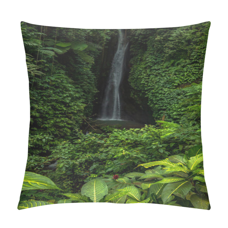 Personality  Waterfall Landscape. Beautiful Hidden Leke Leke Waterfall In Bali. Tropical Scenery. Waterfall In Tropical Rainforest. Focus On Foreground With Plants. Motion Photography. Vertical Layout. Pillow Covers