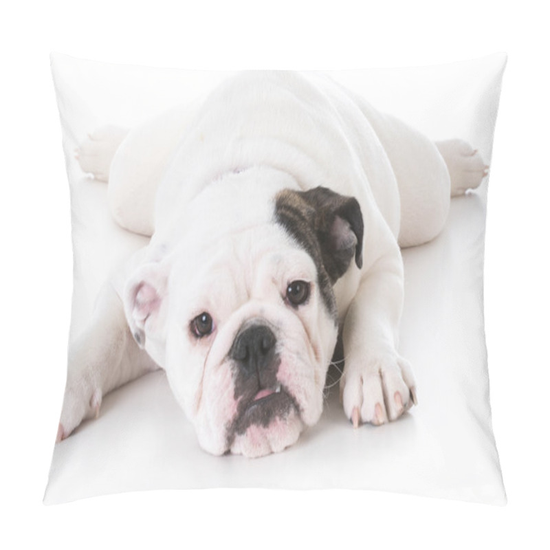 Personality  Bulldog Puppy Laying Down Pillow Covers