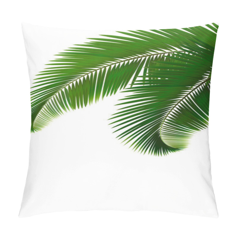 Personality  Palm Leaves On White Background Vector Pillow Covers