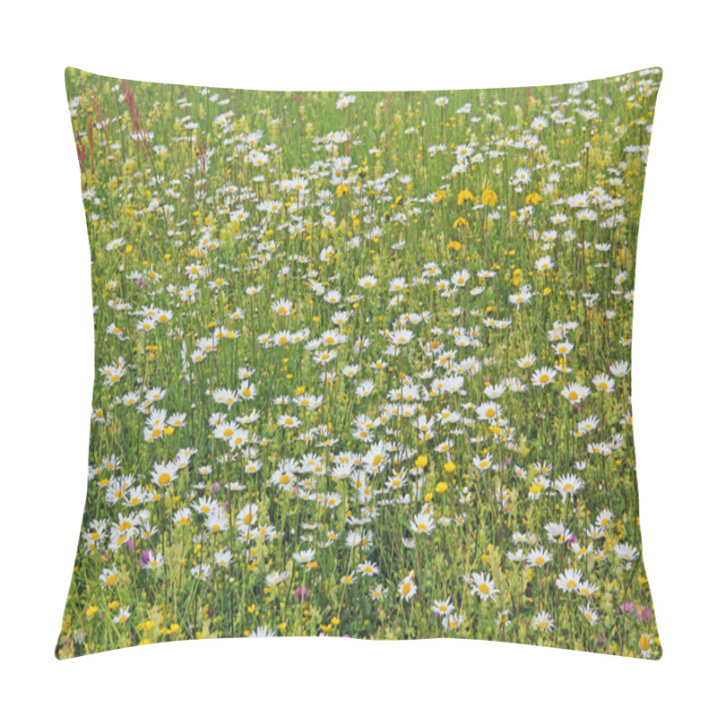 Personality  Meadow With Various Wildflowers Pillow Covers