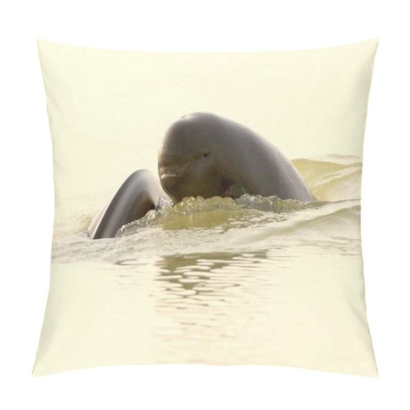 Personality  View Of Endangered Yangtze Finless Porpoises In Poyang Lake, China's Biggest Freshwater Lake, In Jiujiang City, East China's Jiangxi Province, 8 May 2018 Pillow Covers