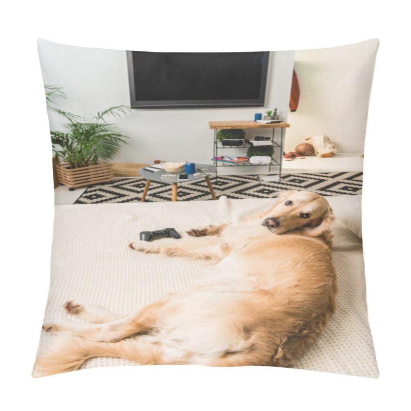 Personality  Funny Retriever Dog Lying On Sofa With Game Pad And Looking At Camera Pillow Covers