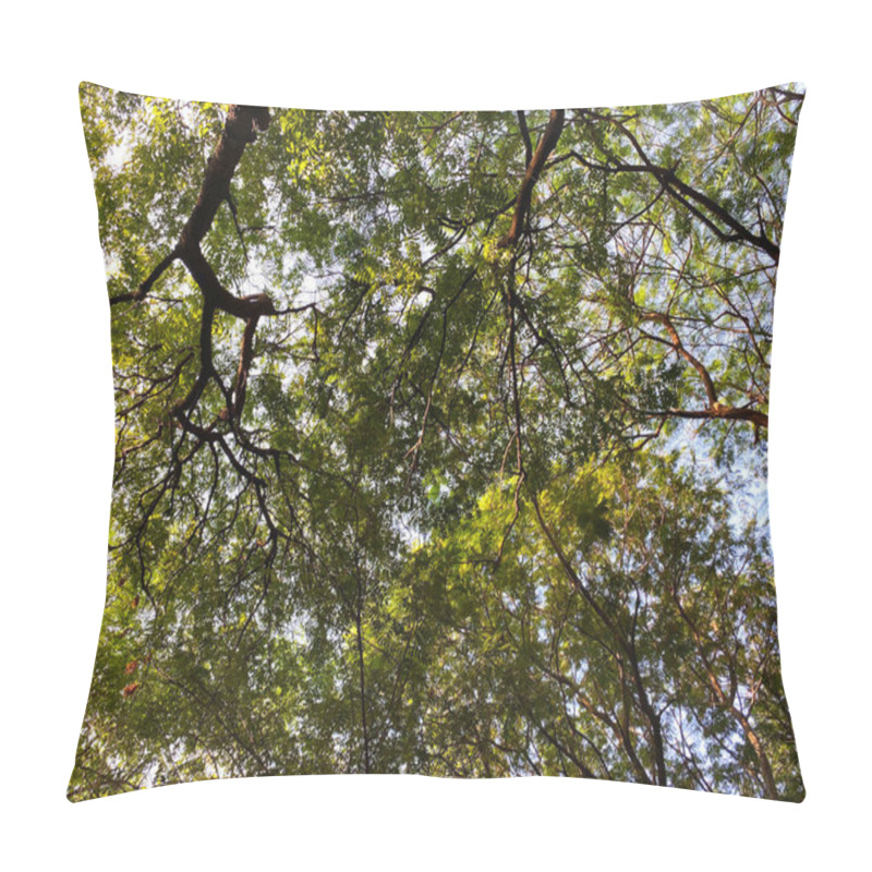 Personality  Looking Up At A Dense Tree, Its Thick Branches And Lush Green Leaves Form A Canopy That Nearly Covers The Sky. Pillow Covers