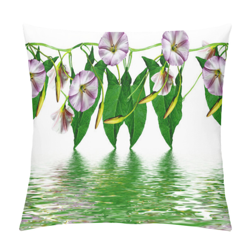 Personality  Creepers Wildflowers Isolated On White Background Pillow Covers