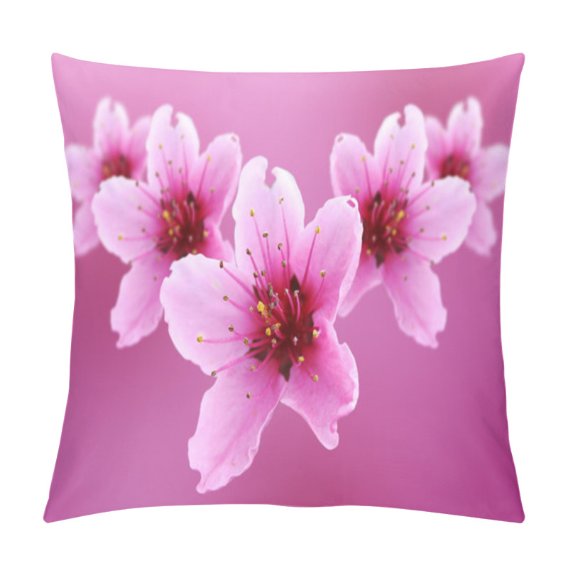 Personality  Pink Flowers Of Peach Pillow Covers