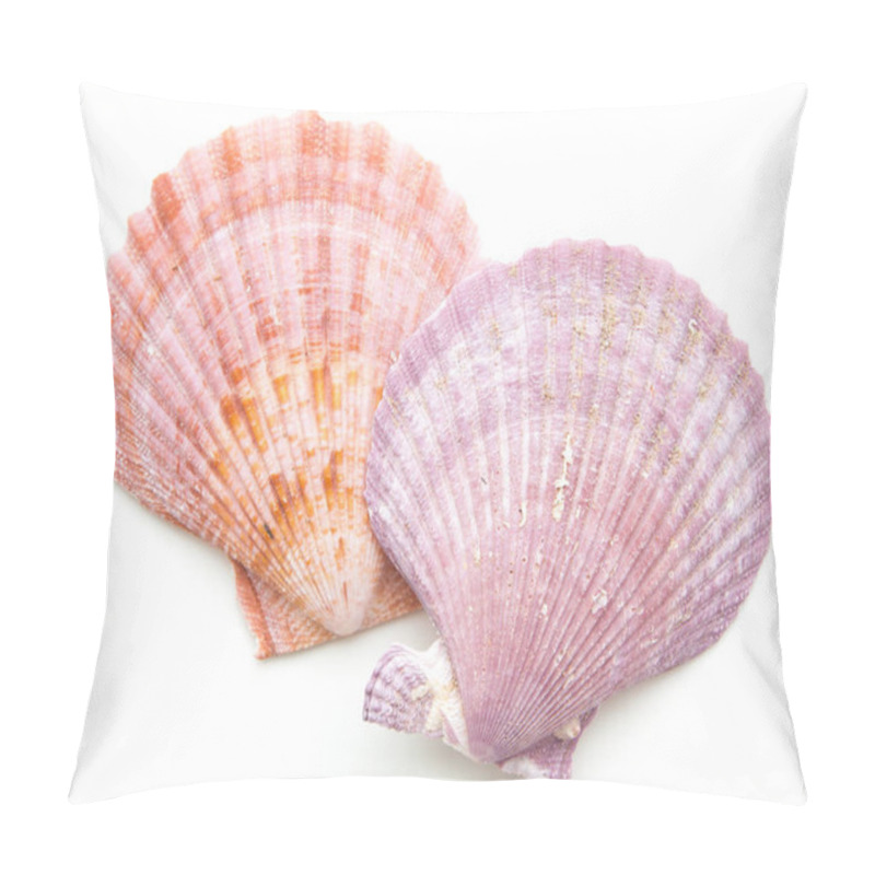 Personality  Clam Mollusc Shells Isolated On White  Pillow Covers