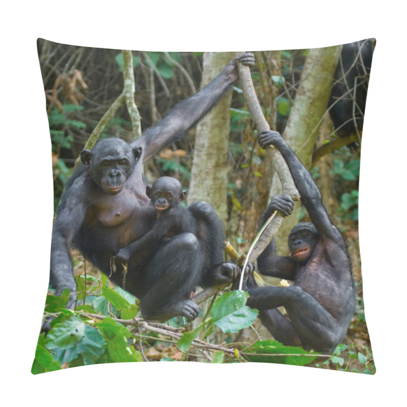 Personality  Bonobo Monkey Family Pillow Covers