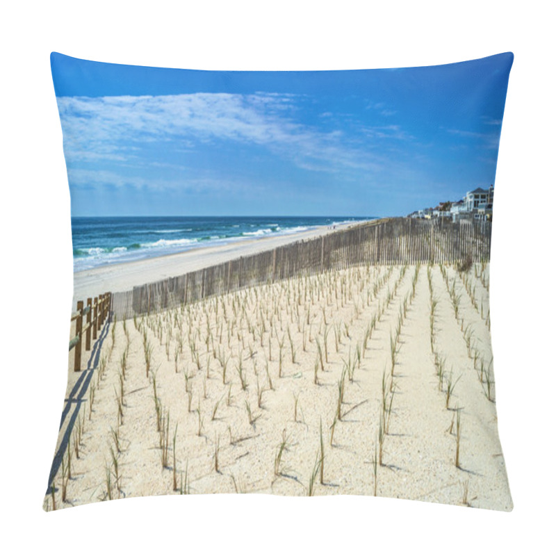 Personality  Replanting The Dunes Pillow Covers