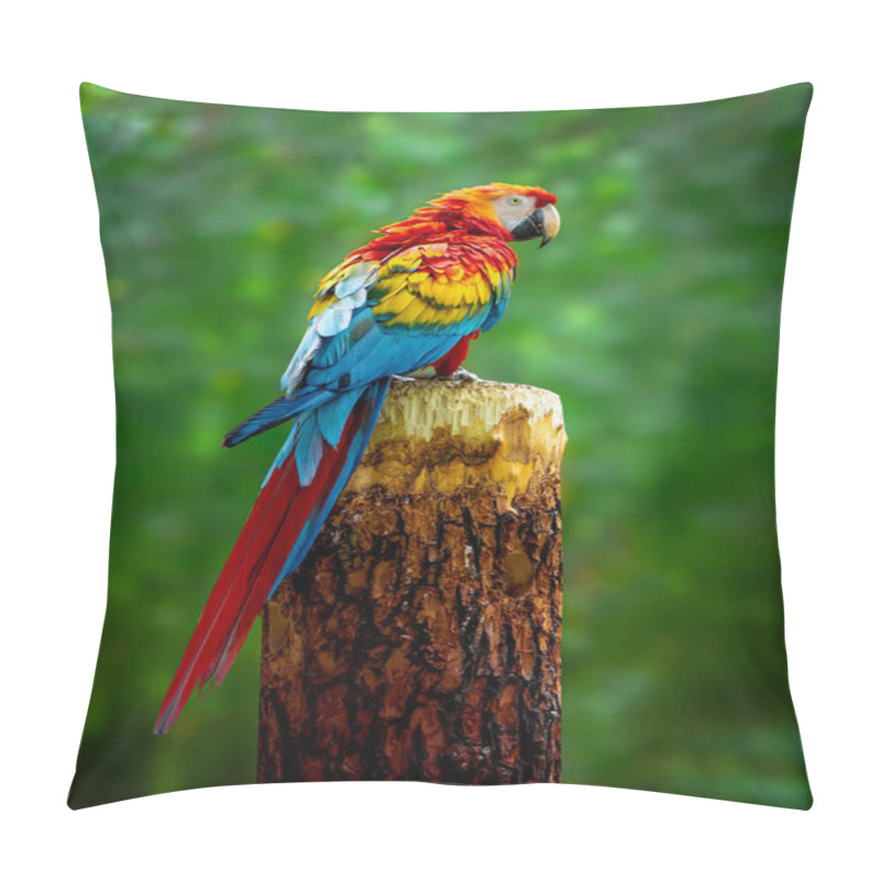 Personality   A Beautiful Macaw Parrot Is Sitting On A Branch Pillow Covers