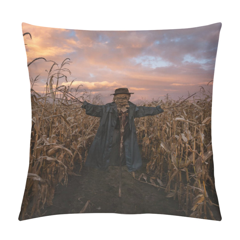 Personality  Scary Scarecrow In A Hat Pillow Covers