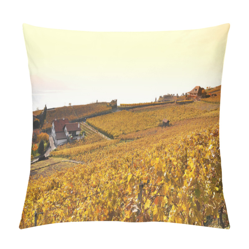 Personality  Vineyards In Lavaux Region, Switzerland Pillow Covers