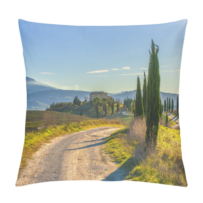 Personality  Cypress Trees On The Road To A Farmhouse In The Tuscan Landscape Pillow Covers