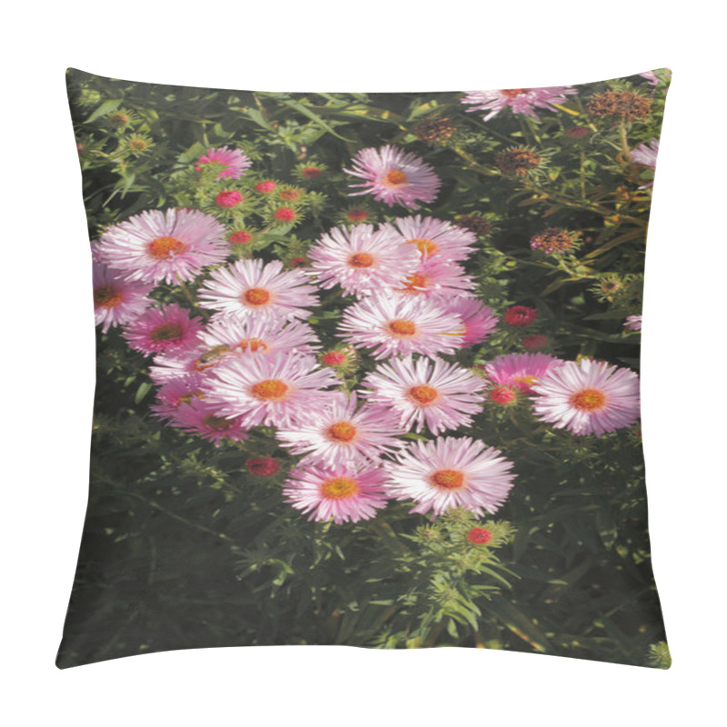 Personality  Blooming Asters Pillow Covers