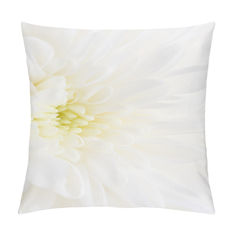 Personality  Beautiful Nature . Background Pillow Covers