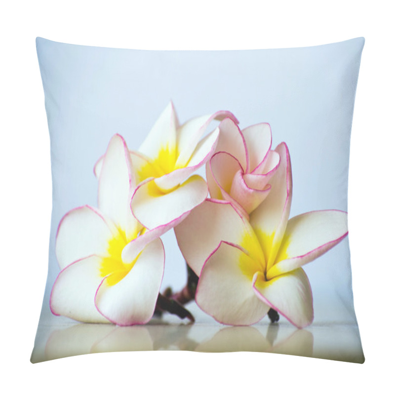 Personality  Exotic Flowers Frangipani Pillow Covers