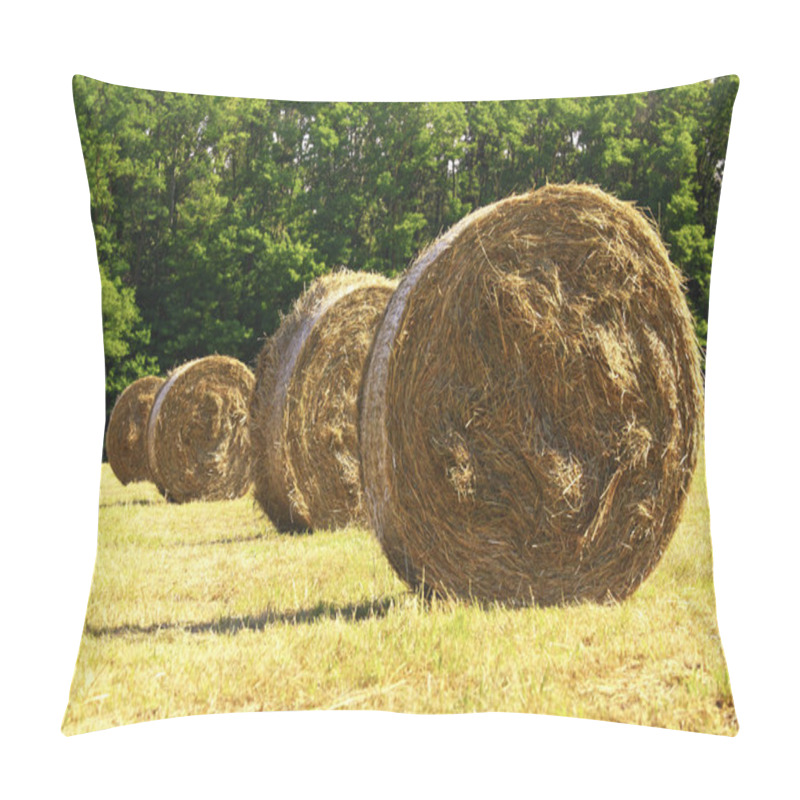 Personality  Bale Hay Background Pillow Covers