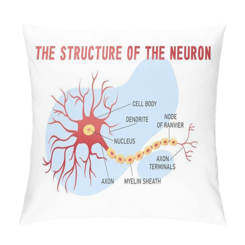 Personality  Educational Horizontal Banner Of Brain Neuron Structure On White Background, Vector Illustration Pillow Covers