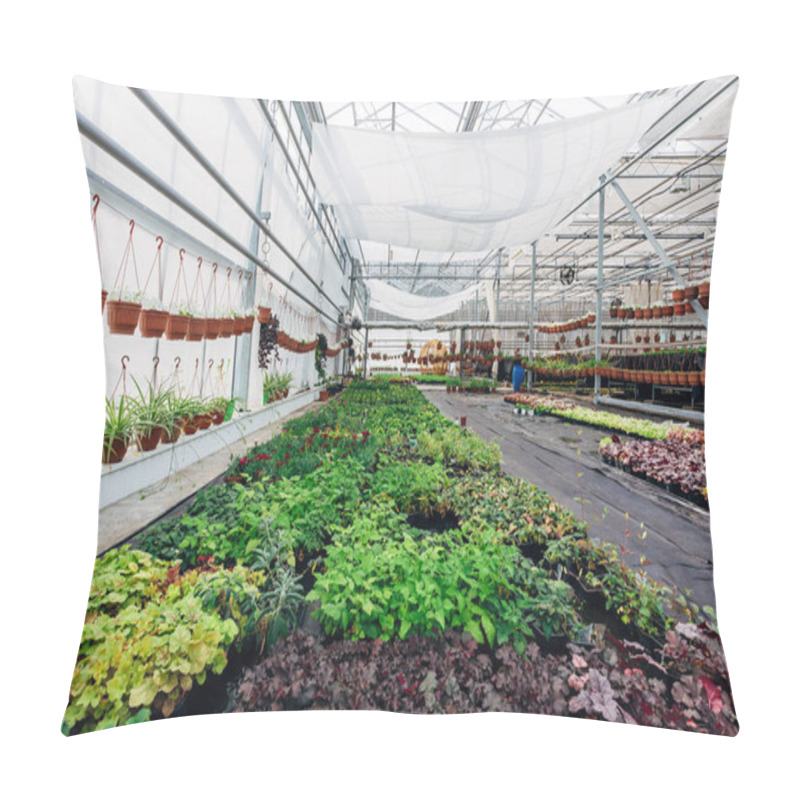 Personality  Growing Of Ornamental Plants, Shrubs And Flowers For Gardening I Pillow Covers