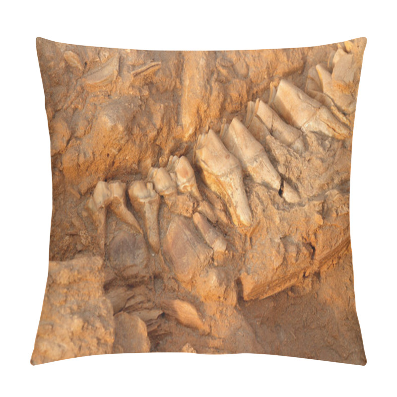 Personality  Ancient Fossil Jaw Bone Pillow Covers