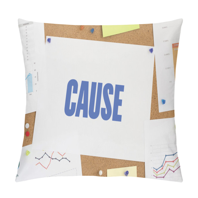 Personality  Business Charts And Graphics Results Of Work Pillow Covers